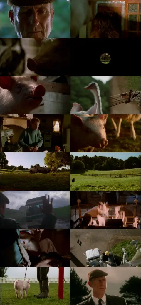 Still 1 of Babe (1995) BluRay [Hindi (DD2.0) & English] 1080p 720p & 480p Dual Audio [x264]