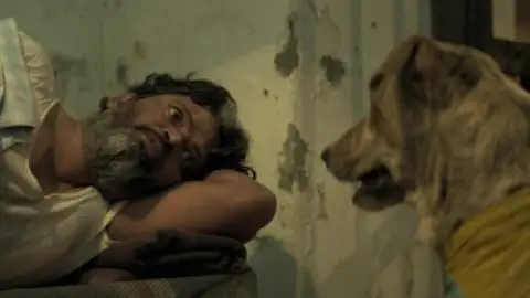 Still 6 of Ohh My Dog (2026) WEB-DL [Hindi DD5.1] 4K 1080p 720p & 480p [x264/10Bit-HEVC]